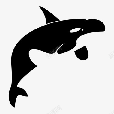 动物虎鲸海洋杰作图标图标