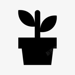 脆弱的生命芽植物盆栽自然图标高清图片