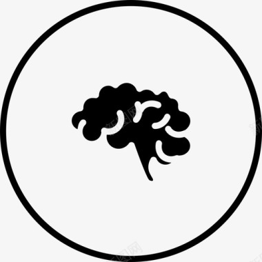 大脑医用圆形固体图标图标