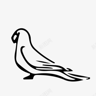飞翔的鹦鹉鹦鹉出售否图标图标