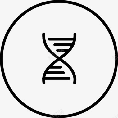 数据信息表格dna科学简历图标图标