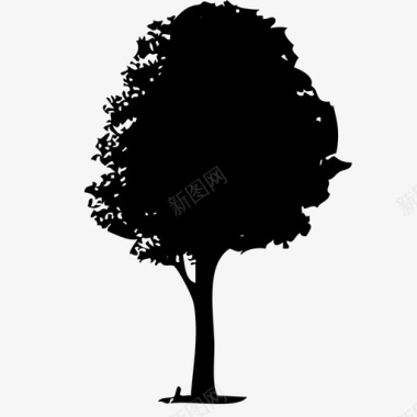 巴西木树高大图标图标