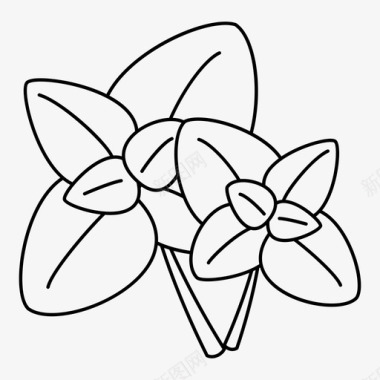 罗勒植物香蒜图标图标