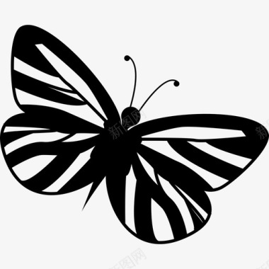 条纹翅膀蝴蝶动物蝴蝶图标图标