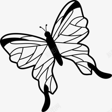 从俯视图上看翅膀纤细的蝴蝶向左旋转动物图标图标