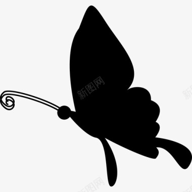 蝴蝶飞翔的剪影动物蝴蝶图标图标