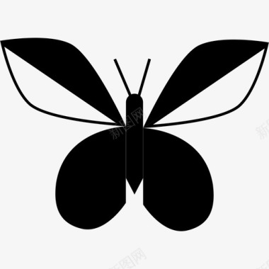 翅膀像叶子的蝴蝶大自然蝴蝶图标图标