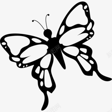 翅膀细密的蝴蝶动物蝴蝶图标图标