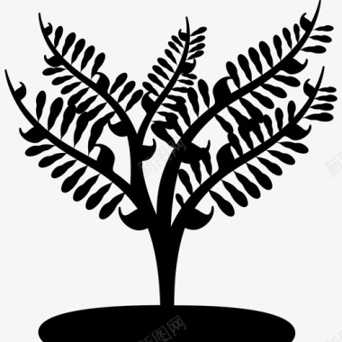 大植物就像一棵小树大自然树的图标图标