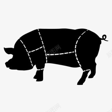 吃虫子肉猪不保留图标图标