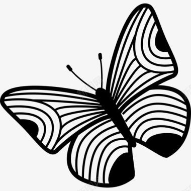 蝴蝶的细条纹翅膀动物蝴蝶图标图标