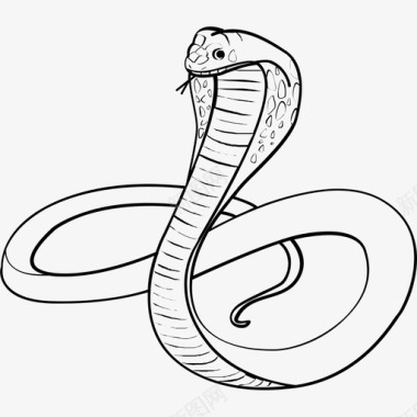 爬行动物蟒蛇运输蛇分析爬行动物图标图标