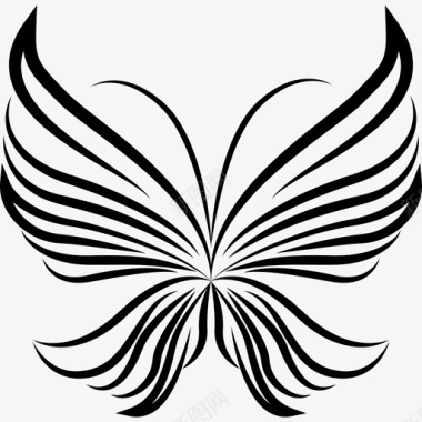条纹翅膀轻蝴蝶美丽的从顶部看动物蝴蝶图标图标