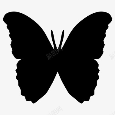 蝴蝶重生飞蛾图标图标