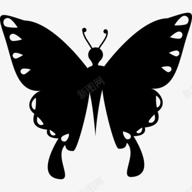 蝴蝶黑色形状昆虫俯视图动物蝴蝶图标图标