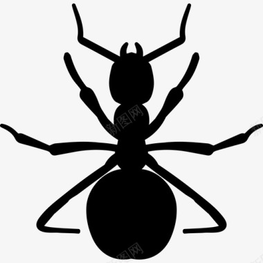 红蚂蚁形状动物动物王国图标图标