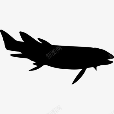 鱼的形状动物动物王国图标图标