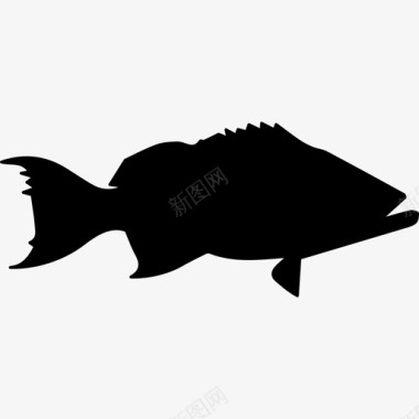 石斑鱼动物动物王国图标图标