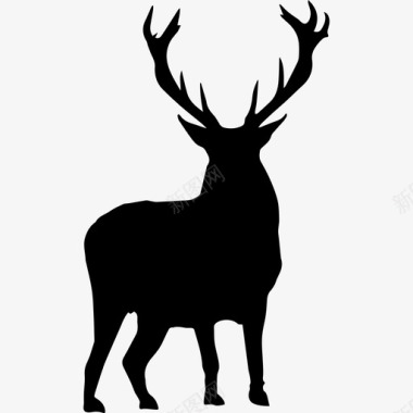 鹿的剪影动物动物王国图标图标
