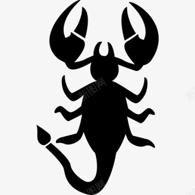 天蝎座垂直动物形状的十二生肖符号星座图标图标