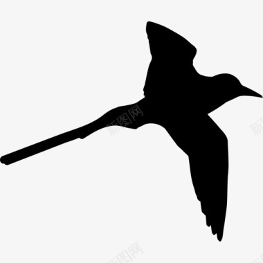 热带鸟类长尾形动物动物王国图标图标