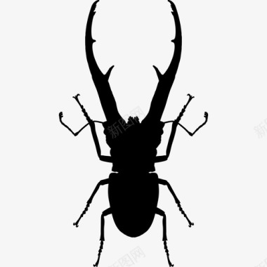 昆虫夜蛾形甲虫动物动物王国图标图标