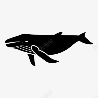 鲸鱼游泳定点图标图标