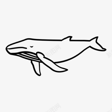概述鲸鱼潮汐定位图标图标
