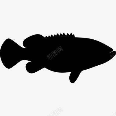 歌利亚石斑鱼形状动物动物王国图标图标