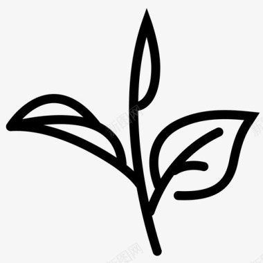 配料茶叶植物抹茶图标图标