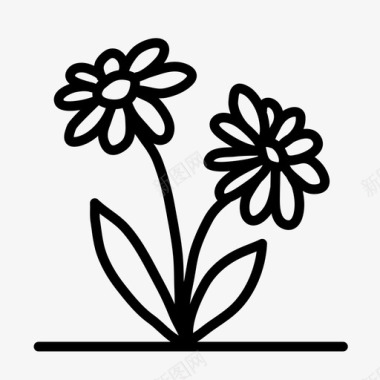 自然生长的植物雏菊花花园图标图标