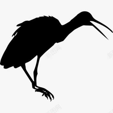 林普金鸟形动物动物王国图标图标
