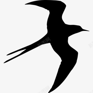 燕子鸟飞翔的剪影动物动物王国图标图标
