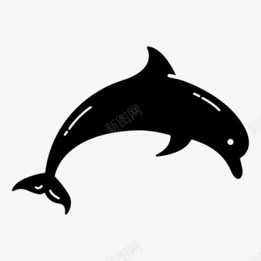 海豚海海洋图标图标
