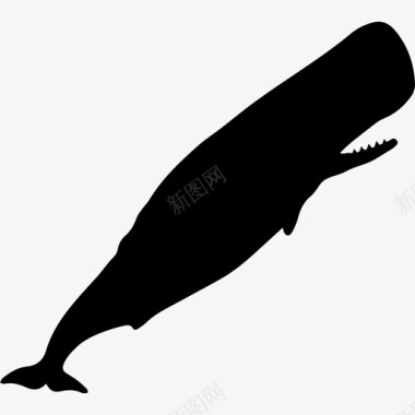 抹香鲸的轮廓动物动物王国图标图标