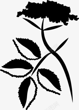 酒logo接骨木花滋补品茶图标图标