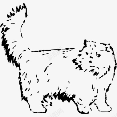 波斯猫图标图标