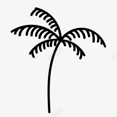 凉爽棕榈树保持绿色图标图标