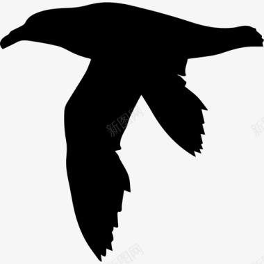 海燕形状动物动物王国图标图标