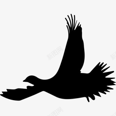 松鸡鸟飞行剪影动物动物王国图标图标