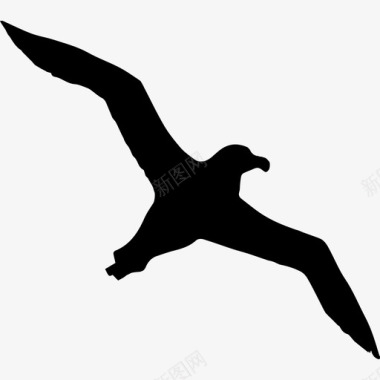 鸟类信天翁飞行形状动物动物王国图标图标