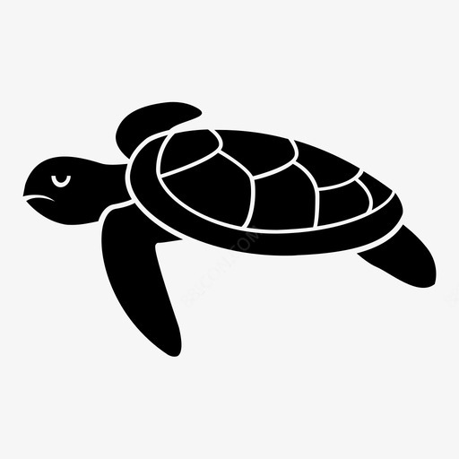 海龟汤贝壳图标免费下载 图标skdakawa icon图标网
