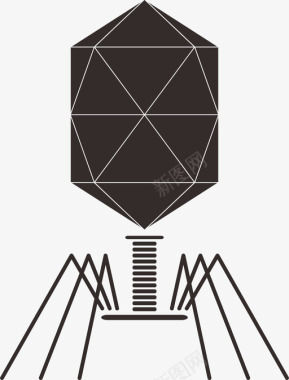 基因组噬菌体细菌生物学图标图标