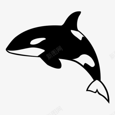 鲸鱼海洋生物食肉动物图标图标