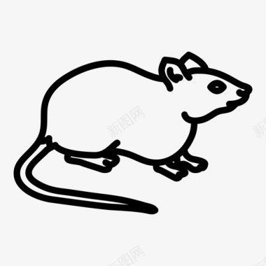 老鼠动物绘画图标图标