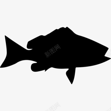 黑鳍鲷的鱼形动物动物王国图标图标