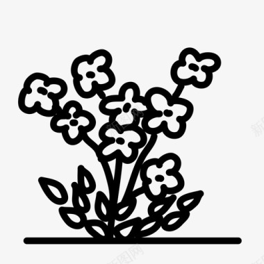 自然生长的植物忘记花花叶图标图标