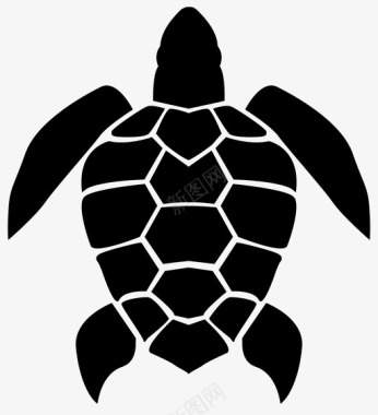 龟壳海龟沙滩海洋图标图标