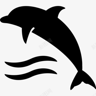 水波上的海豚动物夏天图标图标