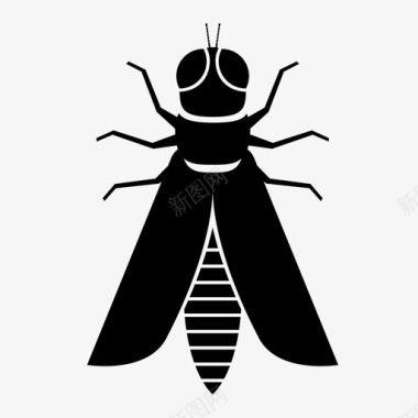 翅膀昆虫蟋蟀飞虫图标图标